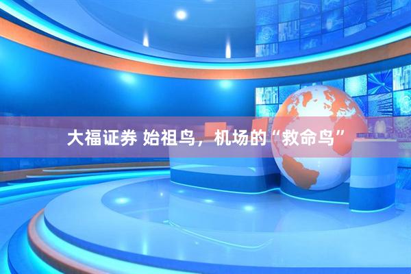 大福证券 始祖鸟，机场的“救命鸟”