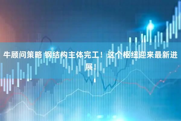 牛顾问策略 钢结构主体完工！这个枢纽迎来最新进展！