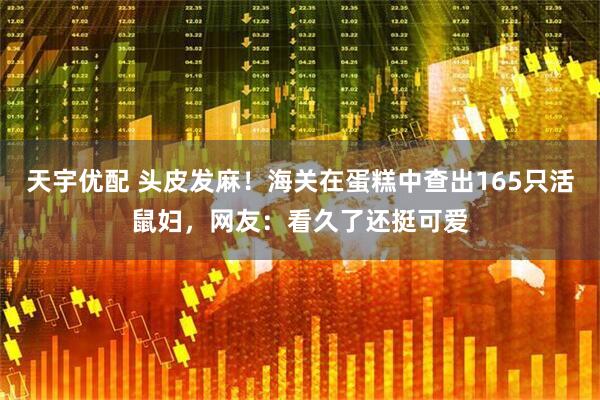 天宇优配 头皮发麻！海关在蛋糕中查出165只活鼠妇，网友：看久了还挺可爱