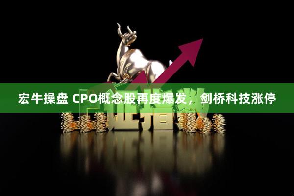 宏牛操盘 CPO概念股再度爆发，剑桥科技涨停