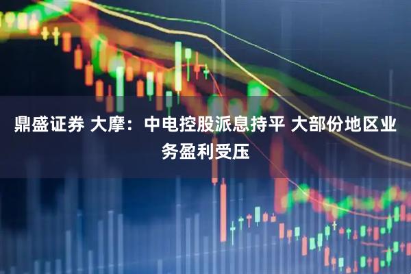 鼎盛证券 大摩：中电控股派息持平 大部份地区业务盈利受压