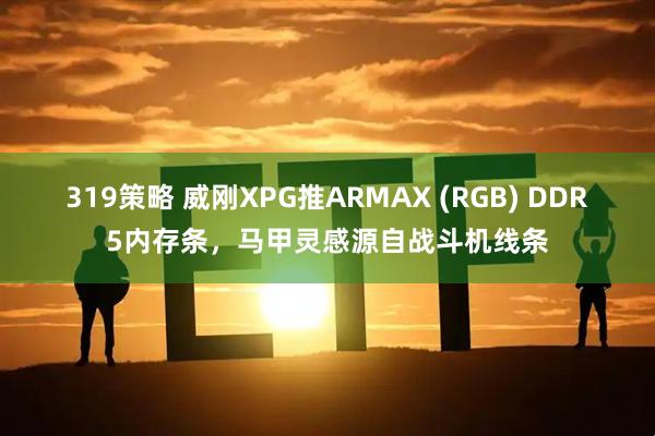319策略 威刚XPG推ARMAX (RGB) DDR5内存条，马甲灵感源自战斗机线条