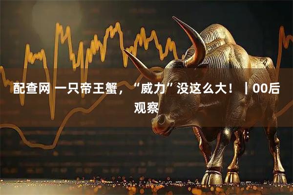配查网 一只帝王蟹，“威力”没这么大！｜00后观察
