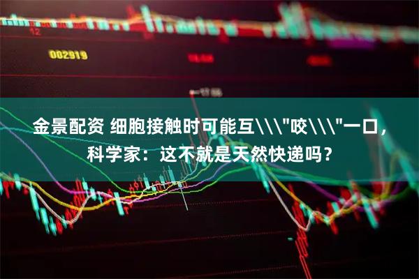 金景配资 细胞接触时可能互\